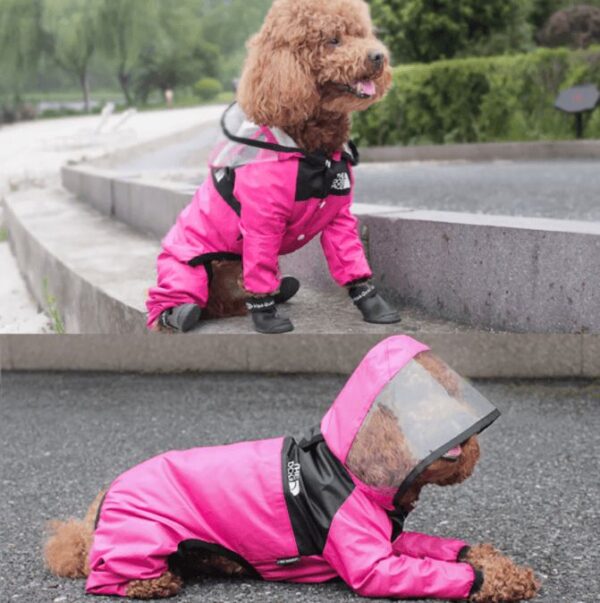 Regenjas voor honden