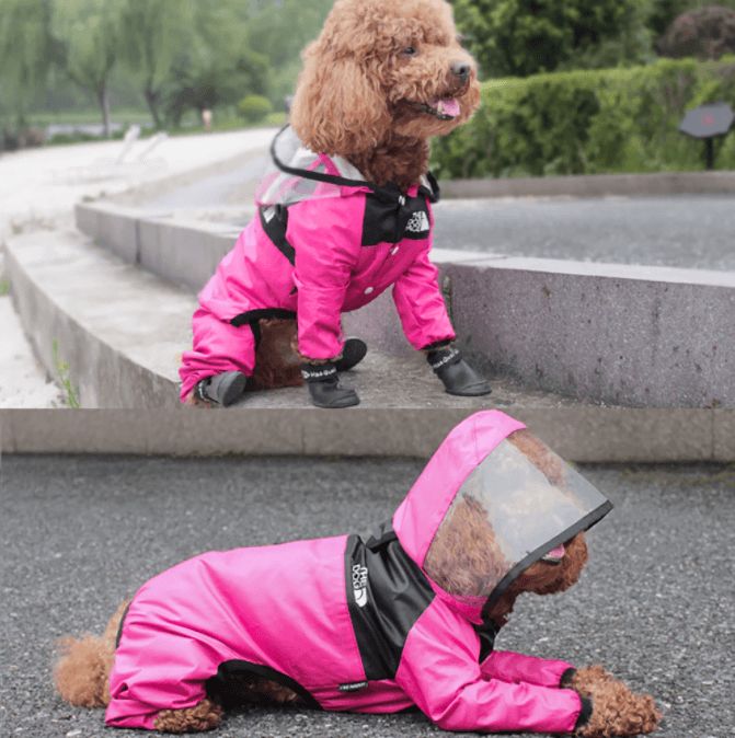 Maak los beheerder gebaar The Dog Face Regenpak voor Honden - huisdier-online.nl