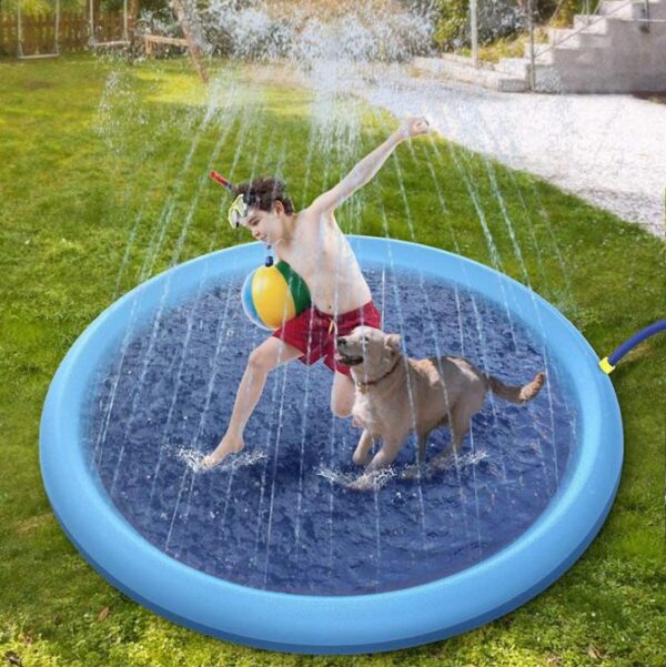 Hondenzwembad met fontein