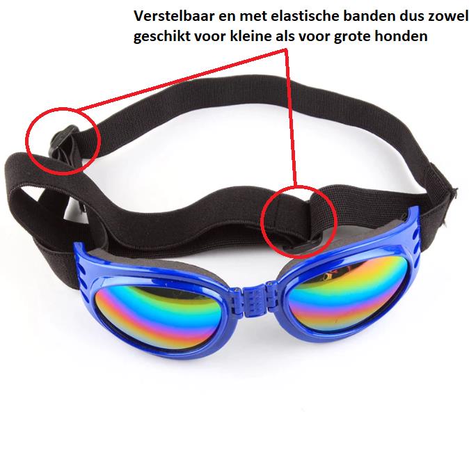 Accessoires Zonnebrillen & Eyewear Brillenstandaarden Zeldzame aarde geglazuurde hond brillenhouder 