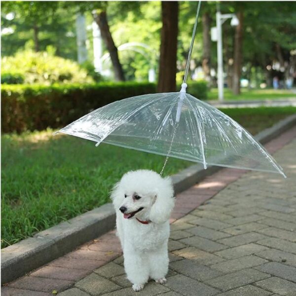 Paraplu voor honden