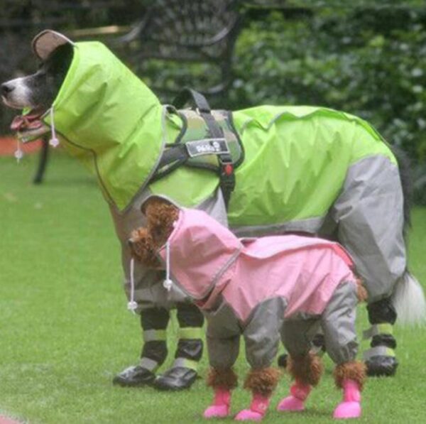 Regenpak met Capuchon voor Honden - Beschermt uw hele Dier tegen Regen