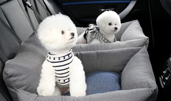 Luxe Autostoel voor honden - Hondenmand in de Auto