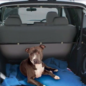 Universeel Hondennet - Autonet - Veiligheidsnet - Veilig op Reis met uw Hond