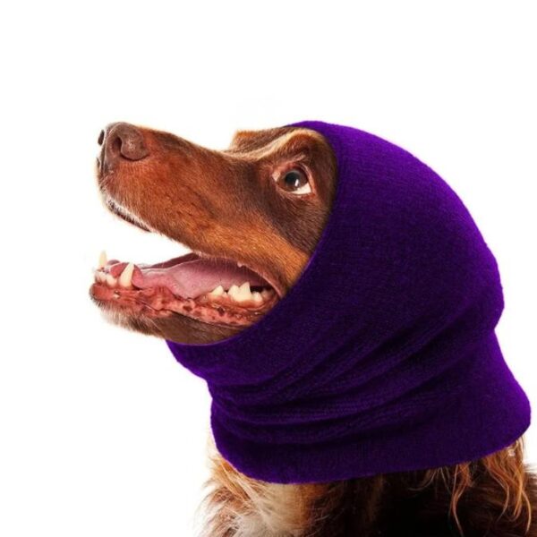 Warme Wintermuts/Hoofdband voor Honden paars