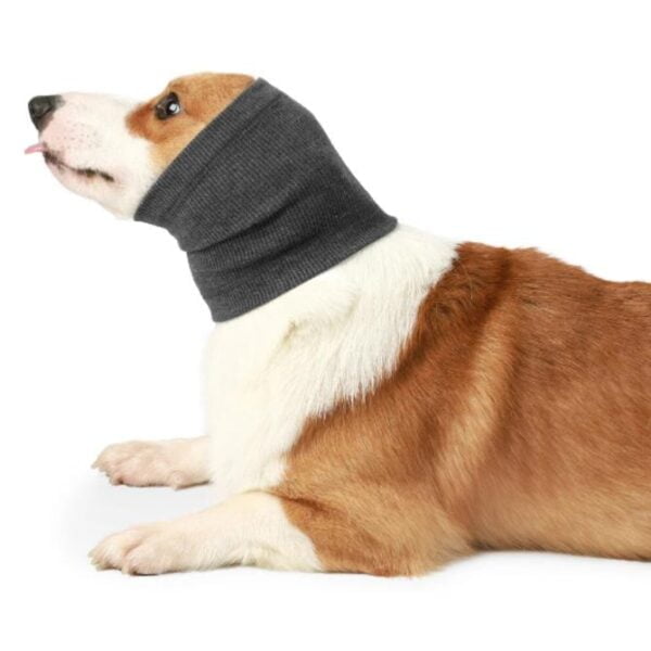 Warme Wintermuts/Hoofdband voor Honden grijs