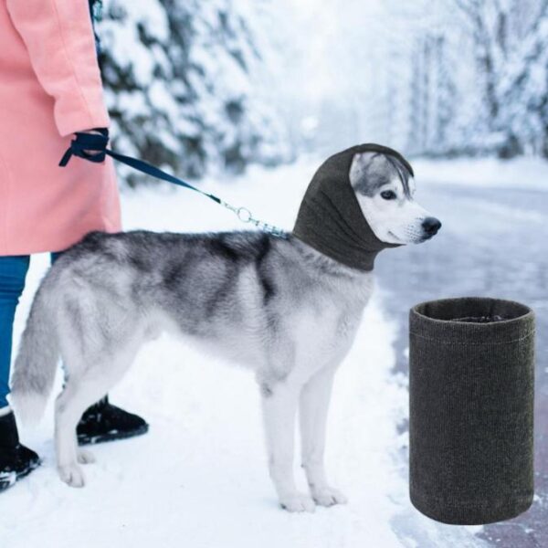 Warme Wintermuts/Hoofdband voor Honden