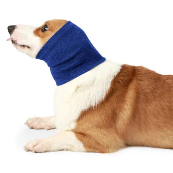 Warme Wintermuts/Hoofdband voor Honden blauw