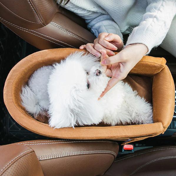 Hondenstoel voor in de Auto - voor Kleine Honden