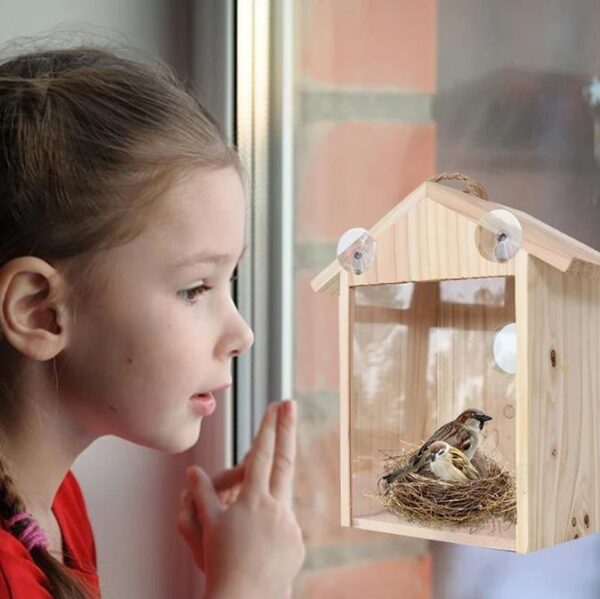 Vogelhuis met Glazen Achterkant en Zuignappen - Om tegen uw raam te plakken