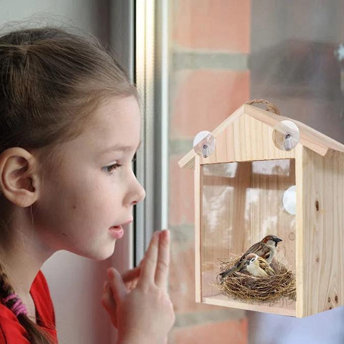 klok foto Bekwaam Vogelhuis met Glazen Achterkant en Zuignappen - Om tegen uw raam te plakken  - huisdier-online.nl