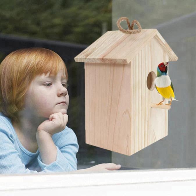 Spin heel veel strak Vogelhuis met Glazen Achterkant en Zuignappen - Om tegen uw raam te plakken  - huisdier-online.nl