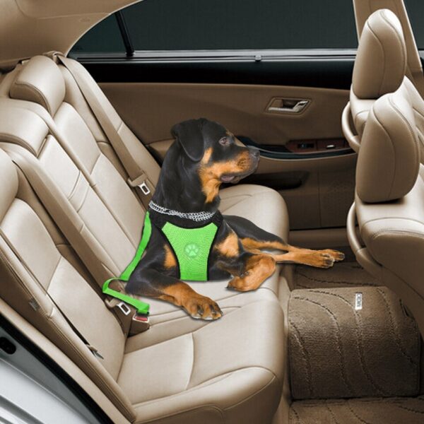 Autogordel met Veiligheidsharnas voor Honden