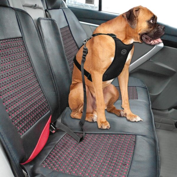 Autogordel met Veiligheidsharnas voor Honden