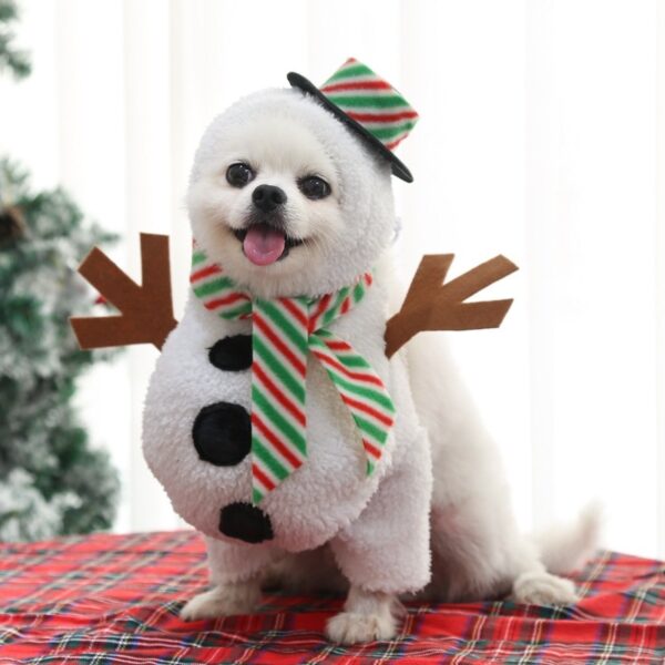 Sneeuwpop Kerstkostuum voor Honden