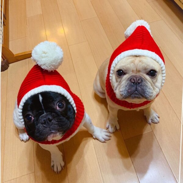 Warme Kerstmuts voor Hond en Kat