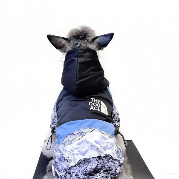 The Dog Face Everest Jacket - Warme Hondenjas met Capuchon