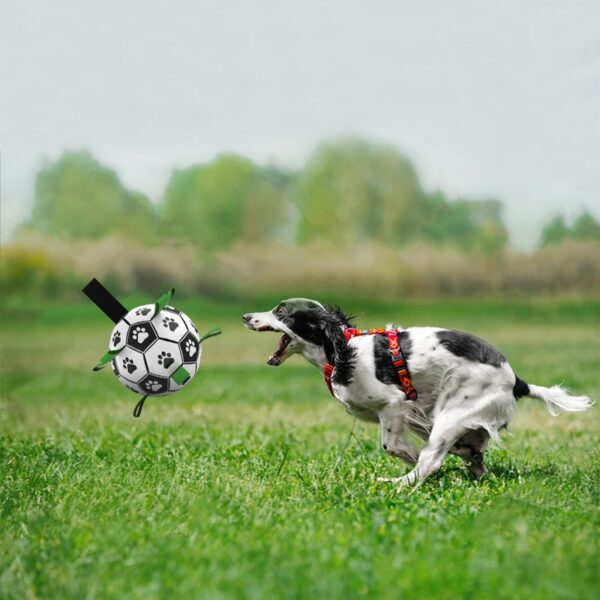 Voetbal voor Honden