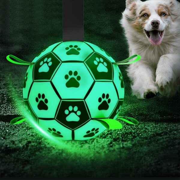 Glow in the Dark Voetbal voor Honden