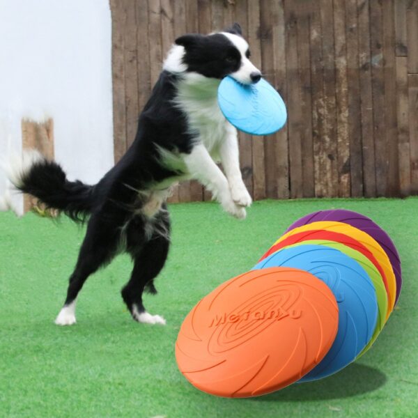Rubberen Frisbee voor Honden
