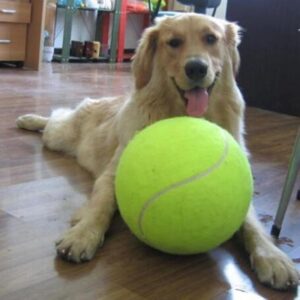 XXL tennisbal voor Honden