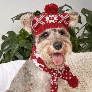 Gebreide Kerstmuts + Kerstsjaal voor Honden