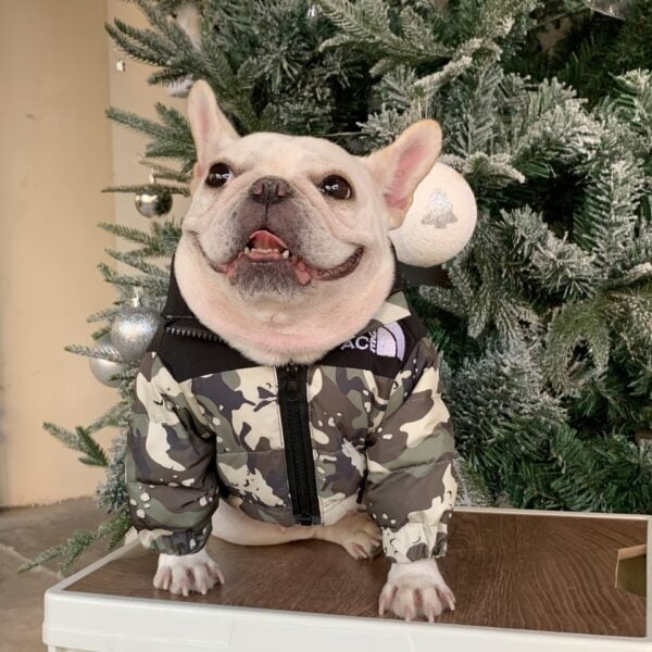 The Dog Face Camouflage Jacket