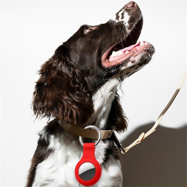 Apple AirTag Houder - Geschikt voor Halsband Hond/Kat