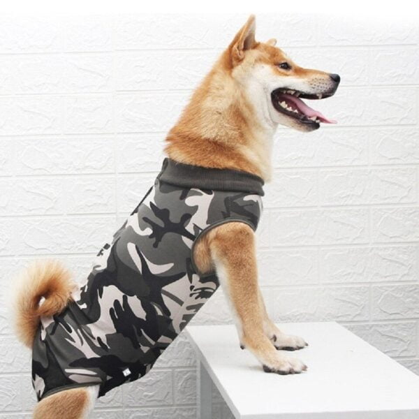 Medical Pet Shirt voor Honden - Recovery Suit