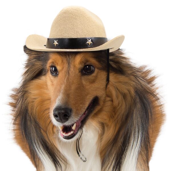 Cowboyhoed voor Honden