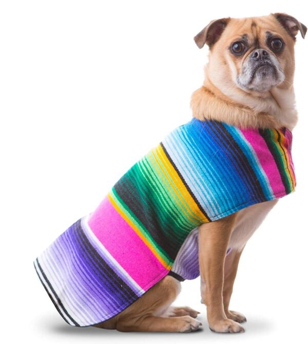 Mexicaanse Poncho voor Honden