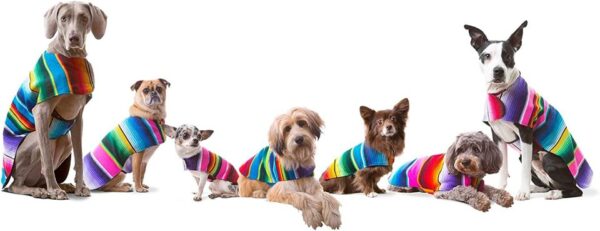 Mexicaanse Poncho voor Honden